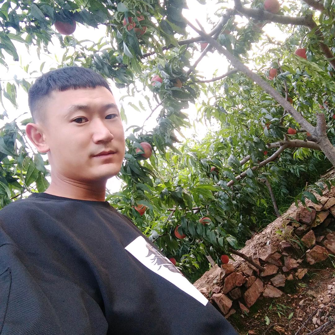 贵和江山