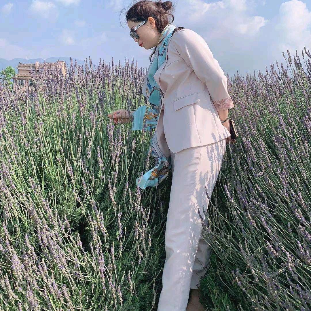 丁香(手机摄影)