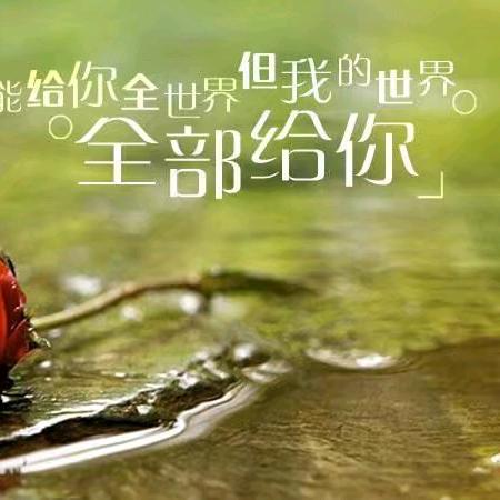 宁宁姐影视
