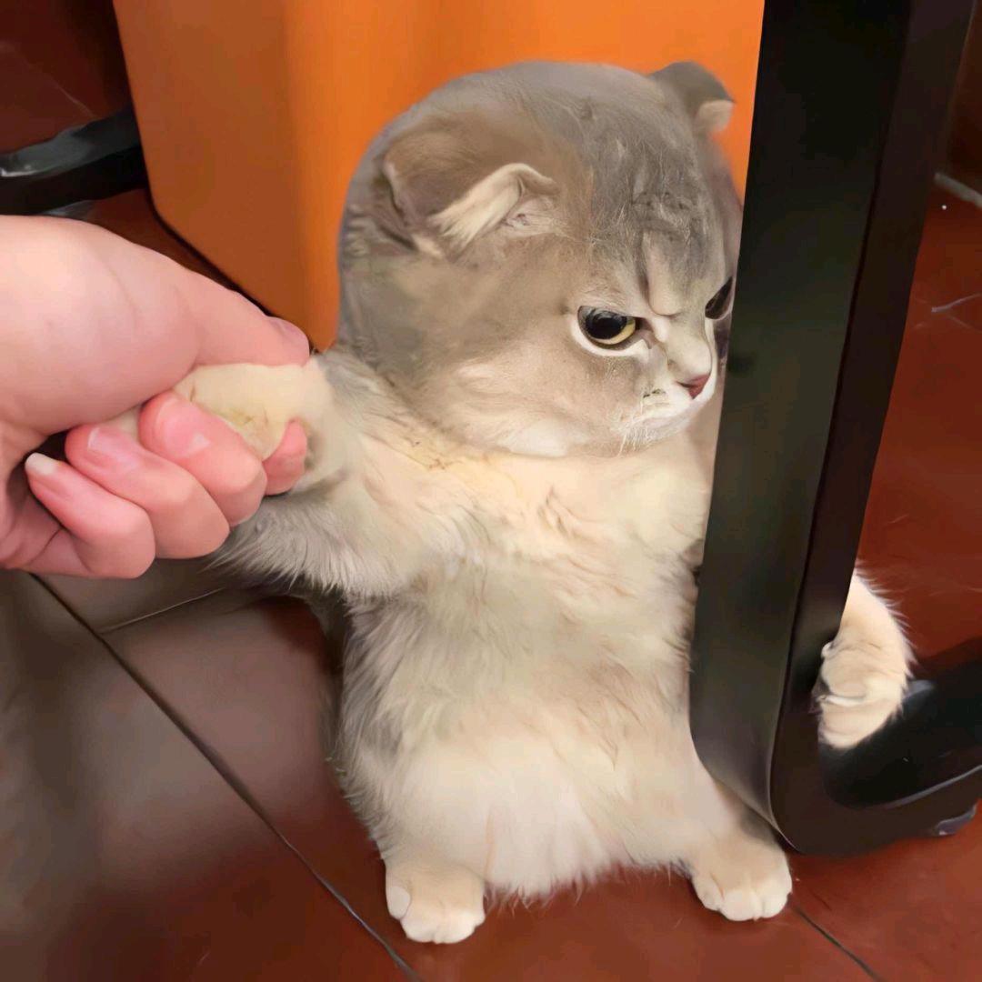 有河不渴（见过许嵩三次版）