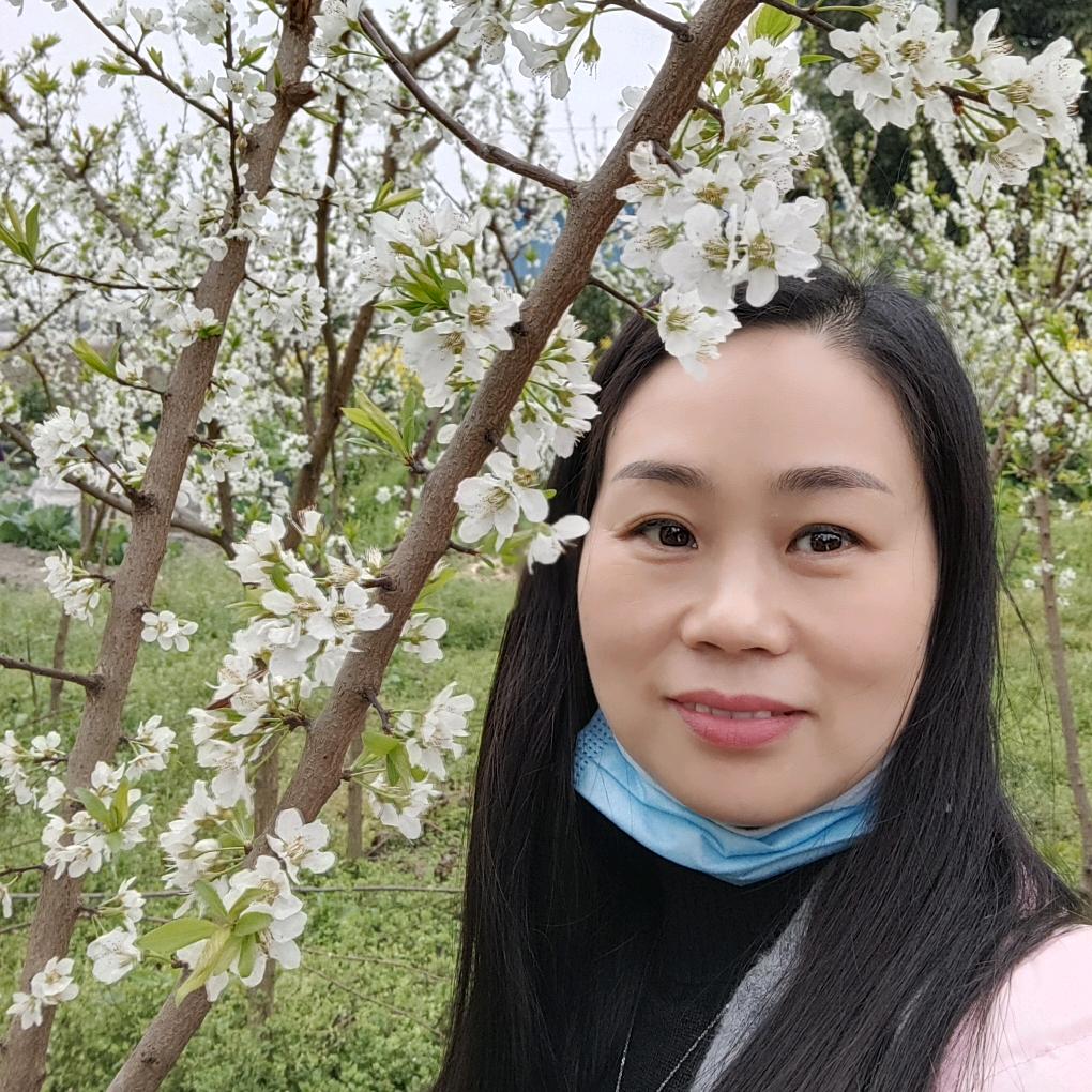 成都+樱花厨房电器+彤妈