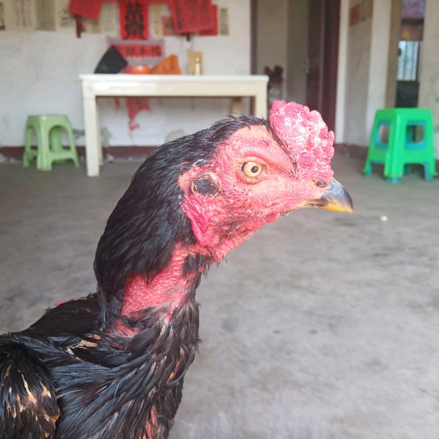 钱志奎