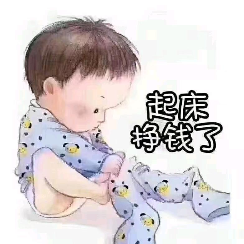 冰山来客🌺☘🌼