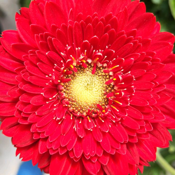 有缘是福（8.30首播）