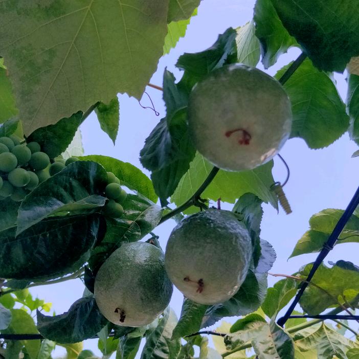 一米阳光🍀