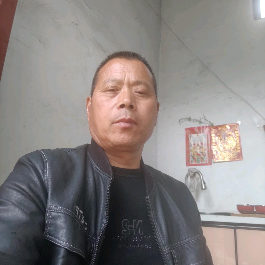 河南居家哥