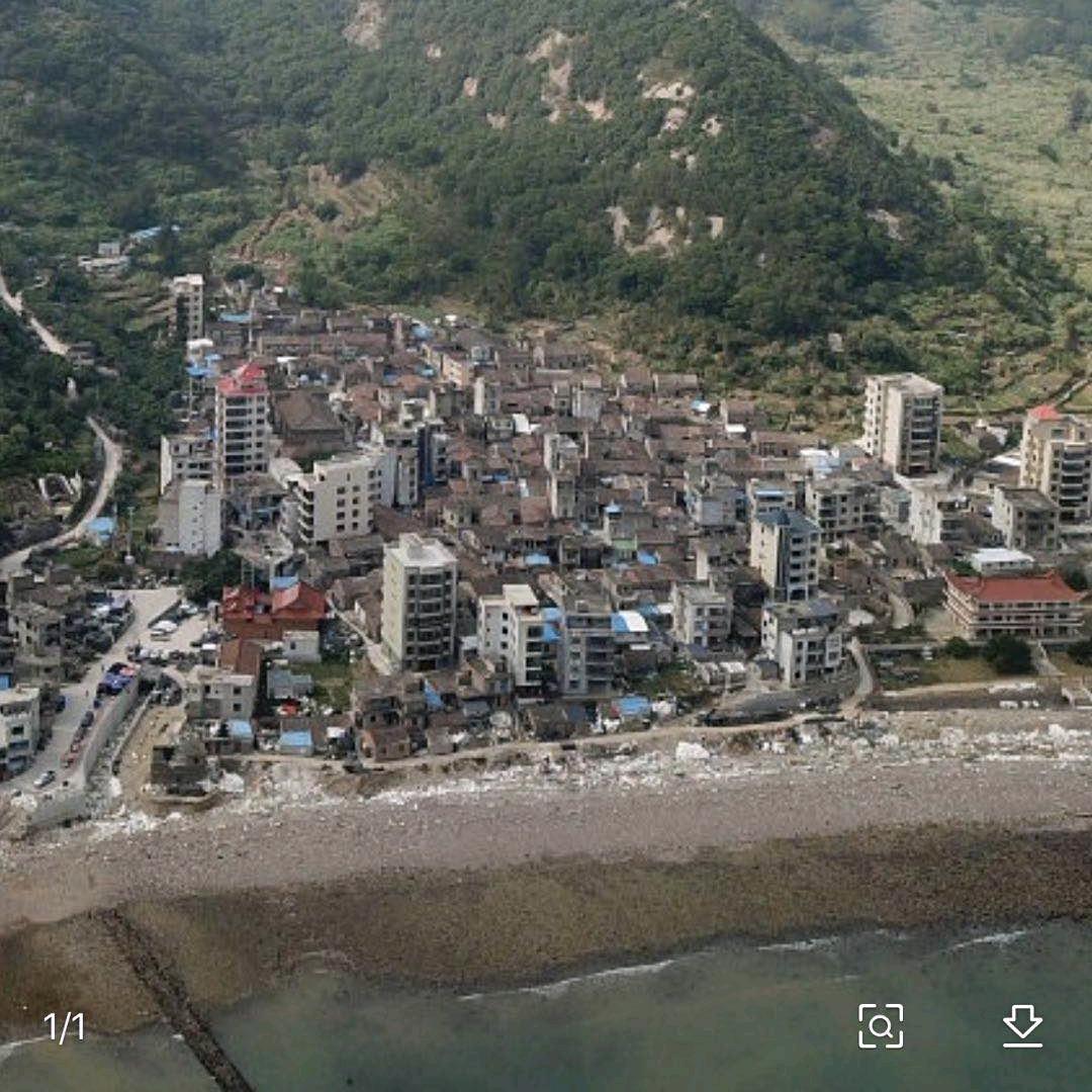 力哥