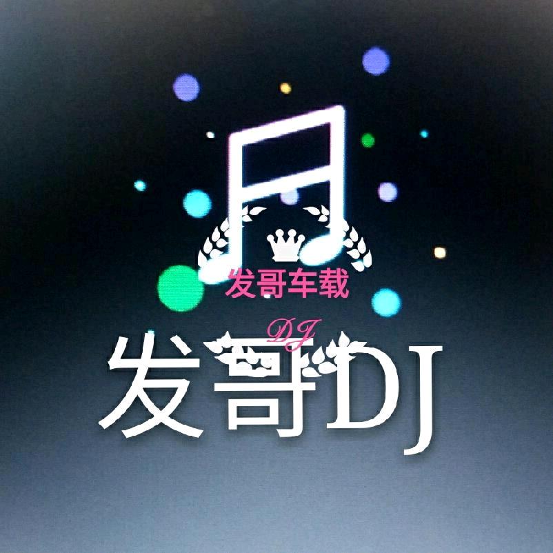 发哥车载影音