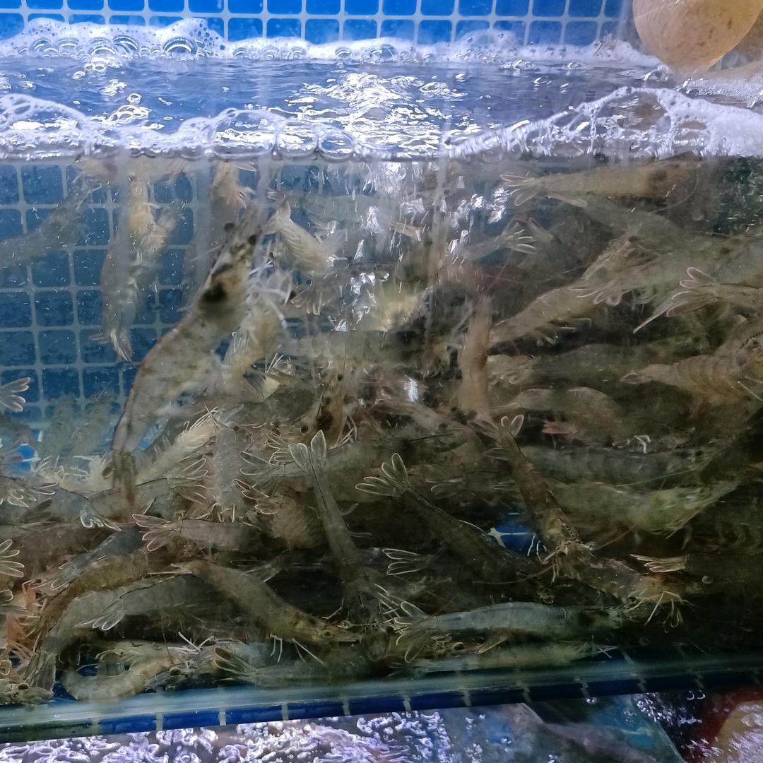 永盛海鲜