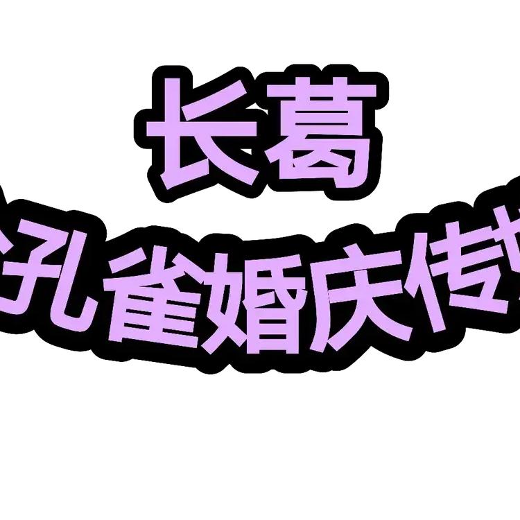 主持 歌手 晓毛