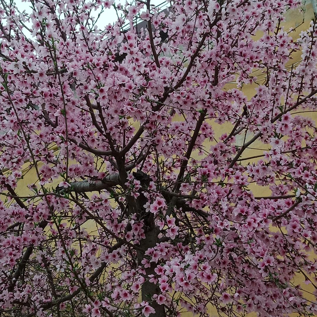 开心每一天61685