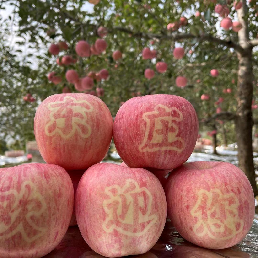 东庄李生群