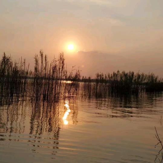 🌈🌸瑞溪妈妈