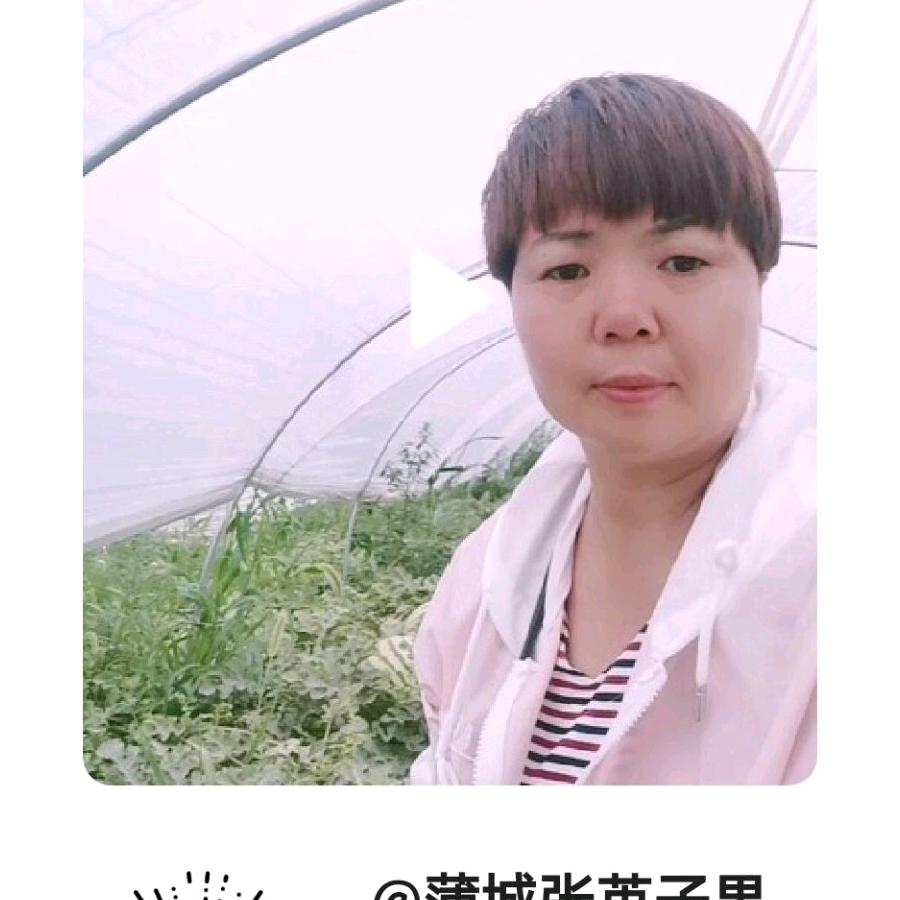蒲城英子果蔬