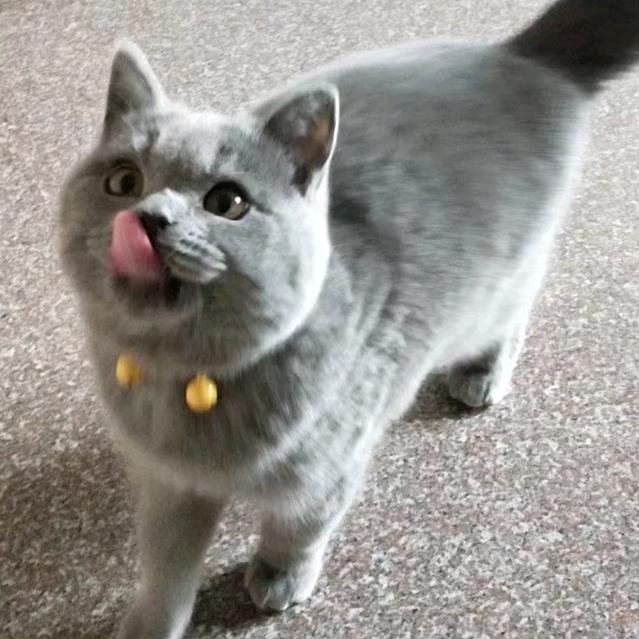 抚河边的村落
