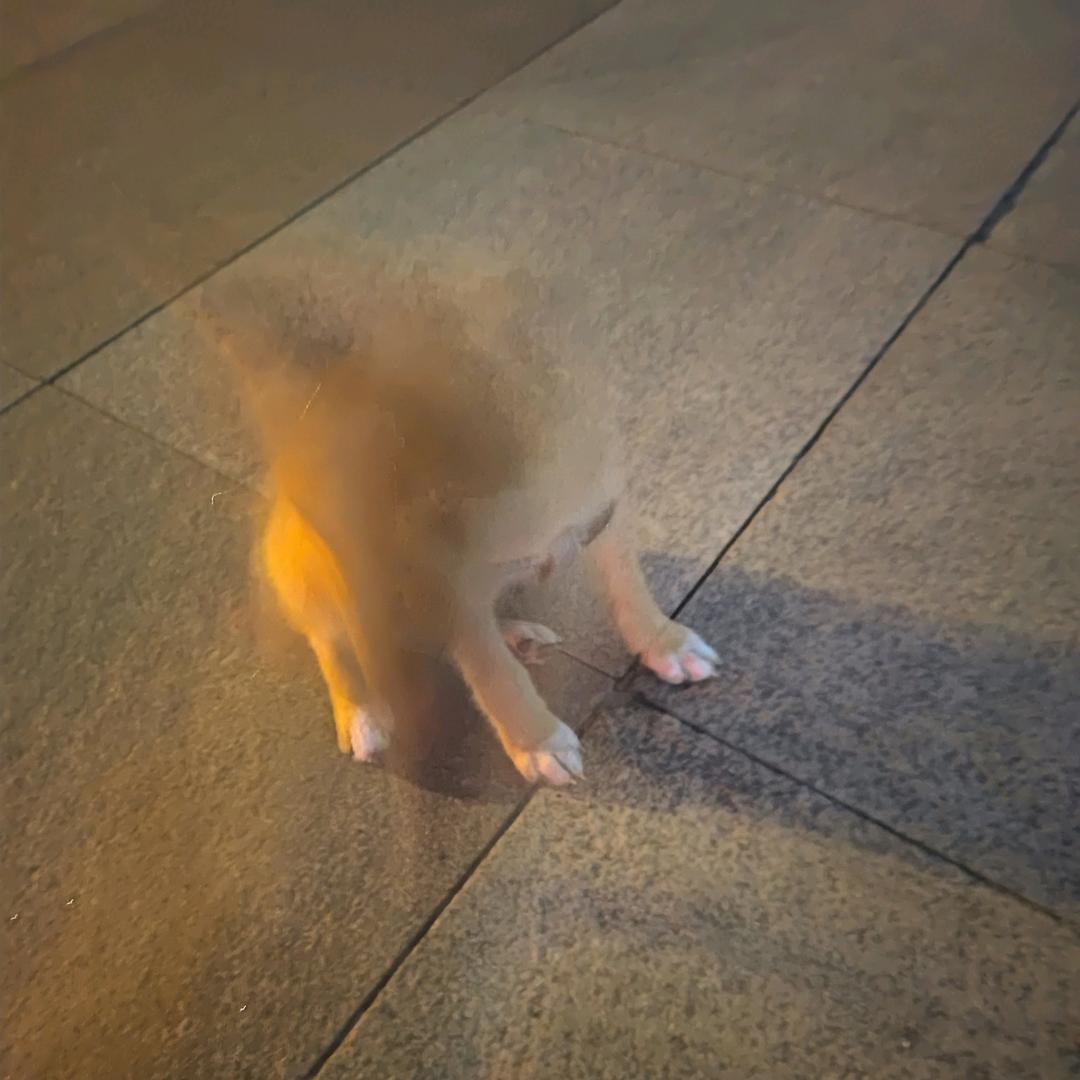 湛