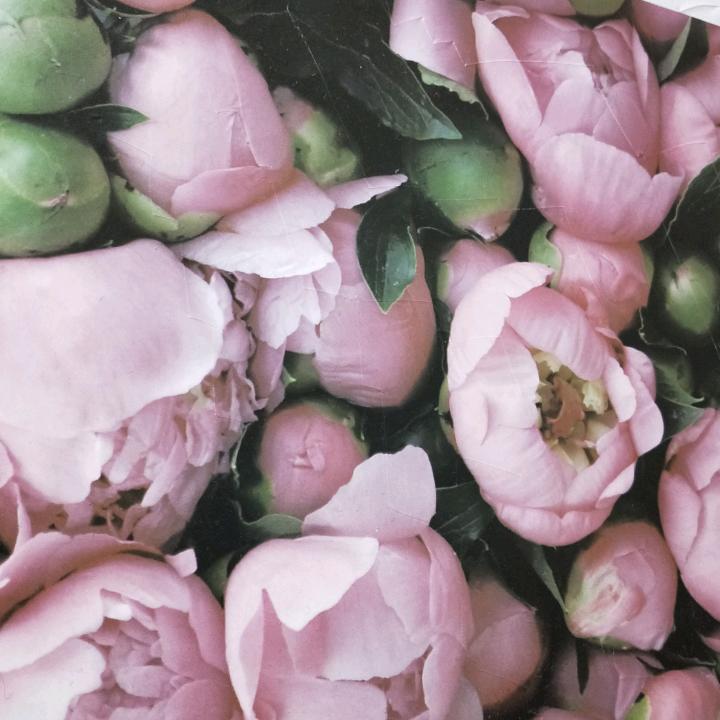 芳姐收藏