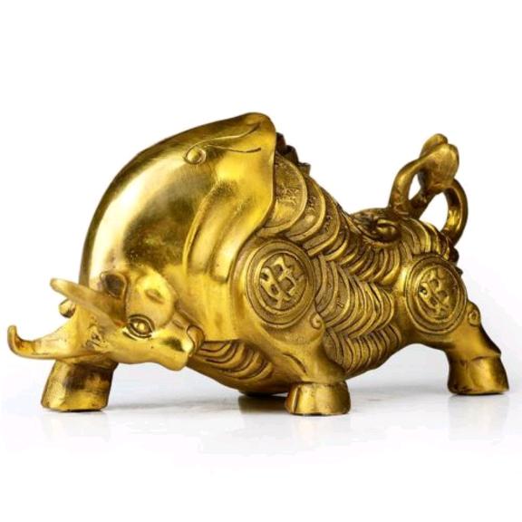 肥牛🐮
