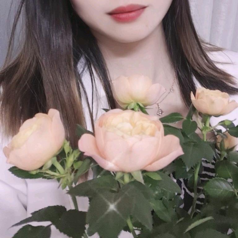 赵丽萍