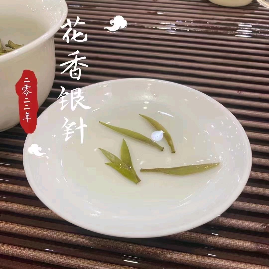 福鼎白茶|福裕茶厂