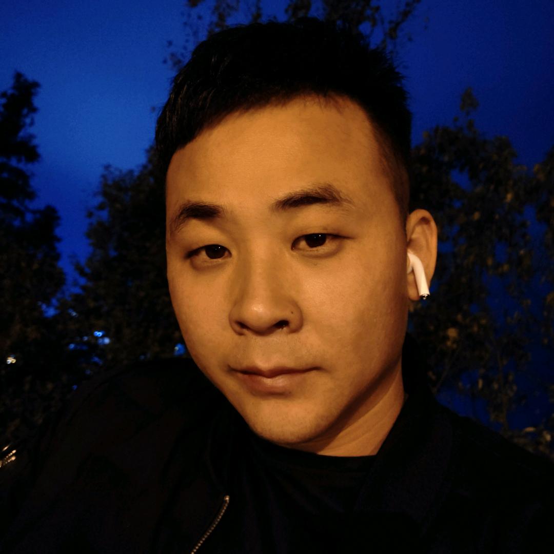 龙禧(龙影）名门-吴先平
