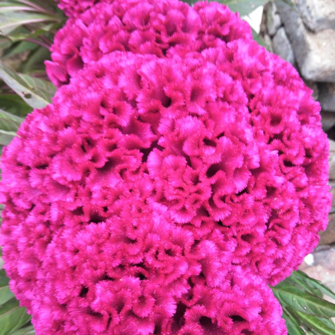 用户3969997017910王杨