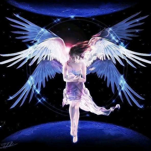 爱吃炒南瓜的奶昔