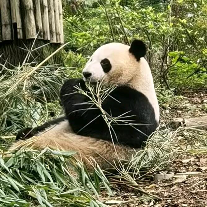 人生如水