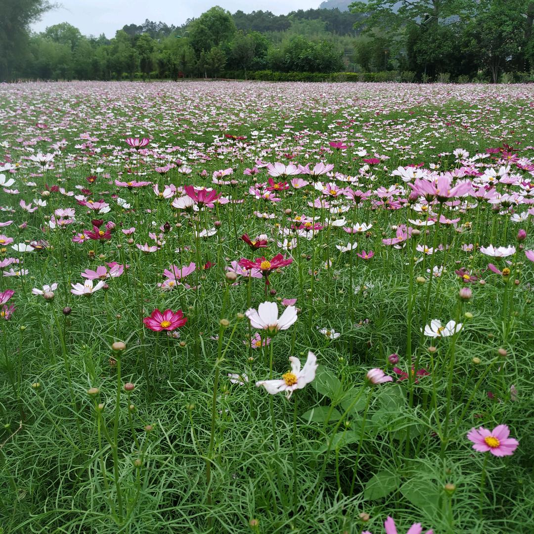 熙良优品个体店