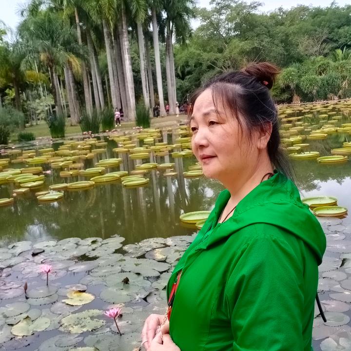 贵妃