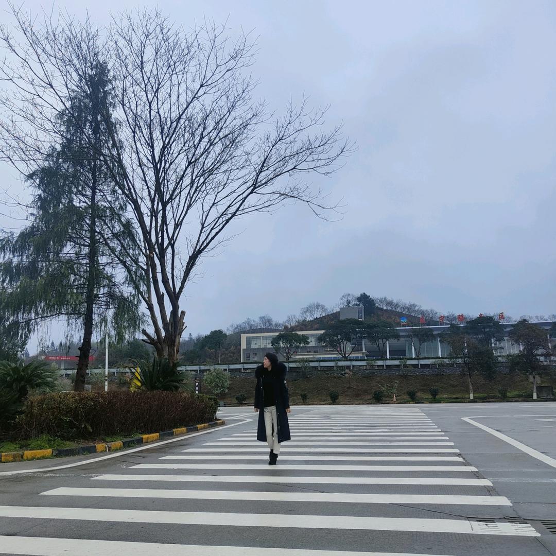 家具顾问小邹