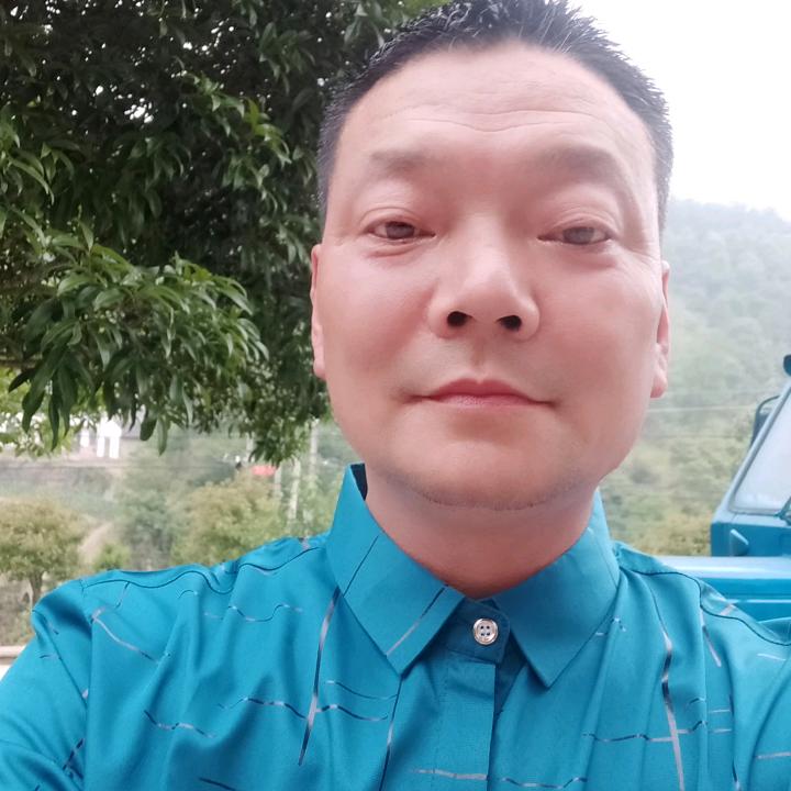 与盆景约会