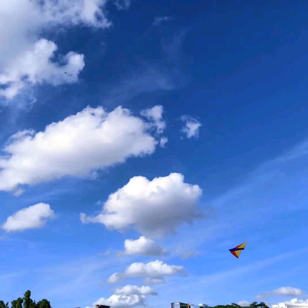 🌈🌈枫叶