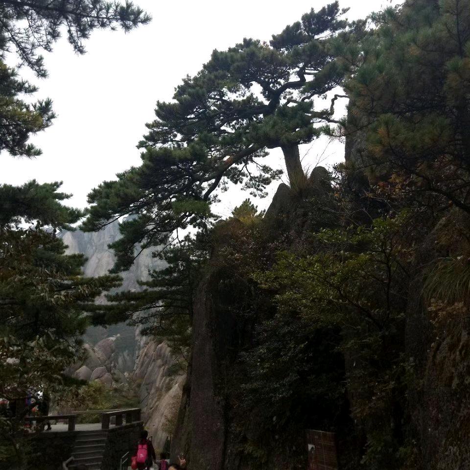 平安是福