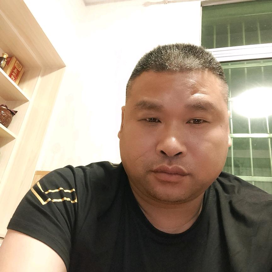 飞龙
