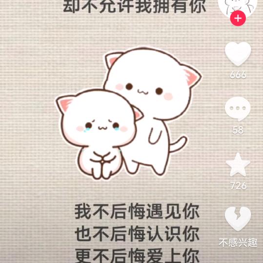 你是我的劫