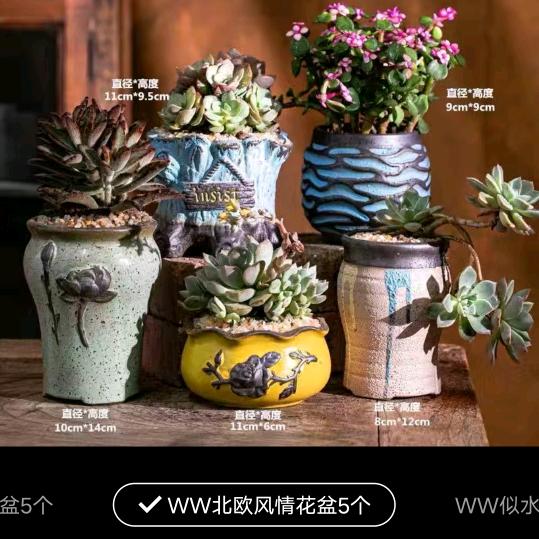 皮红星