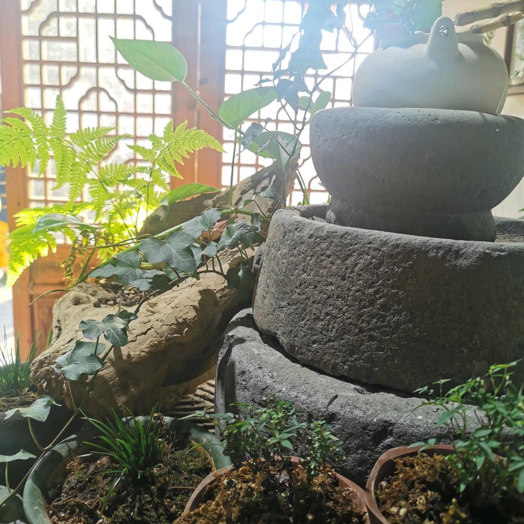 红包