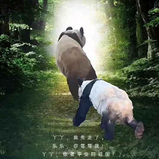 不离不弃