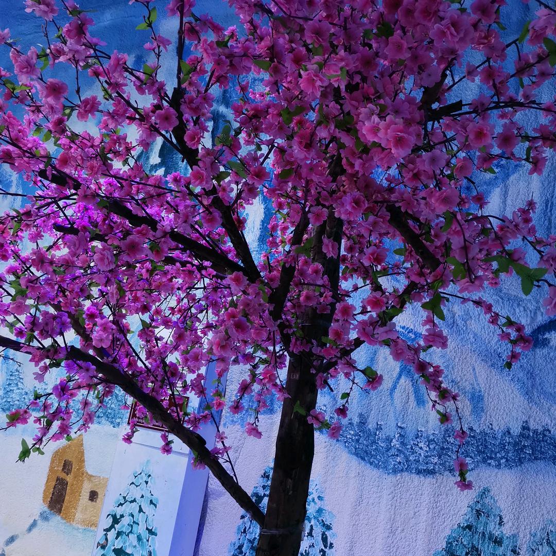 爱芳