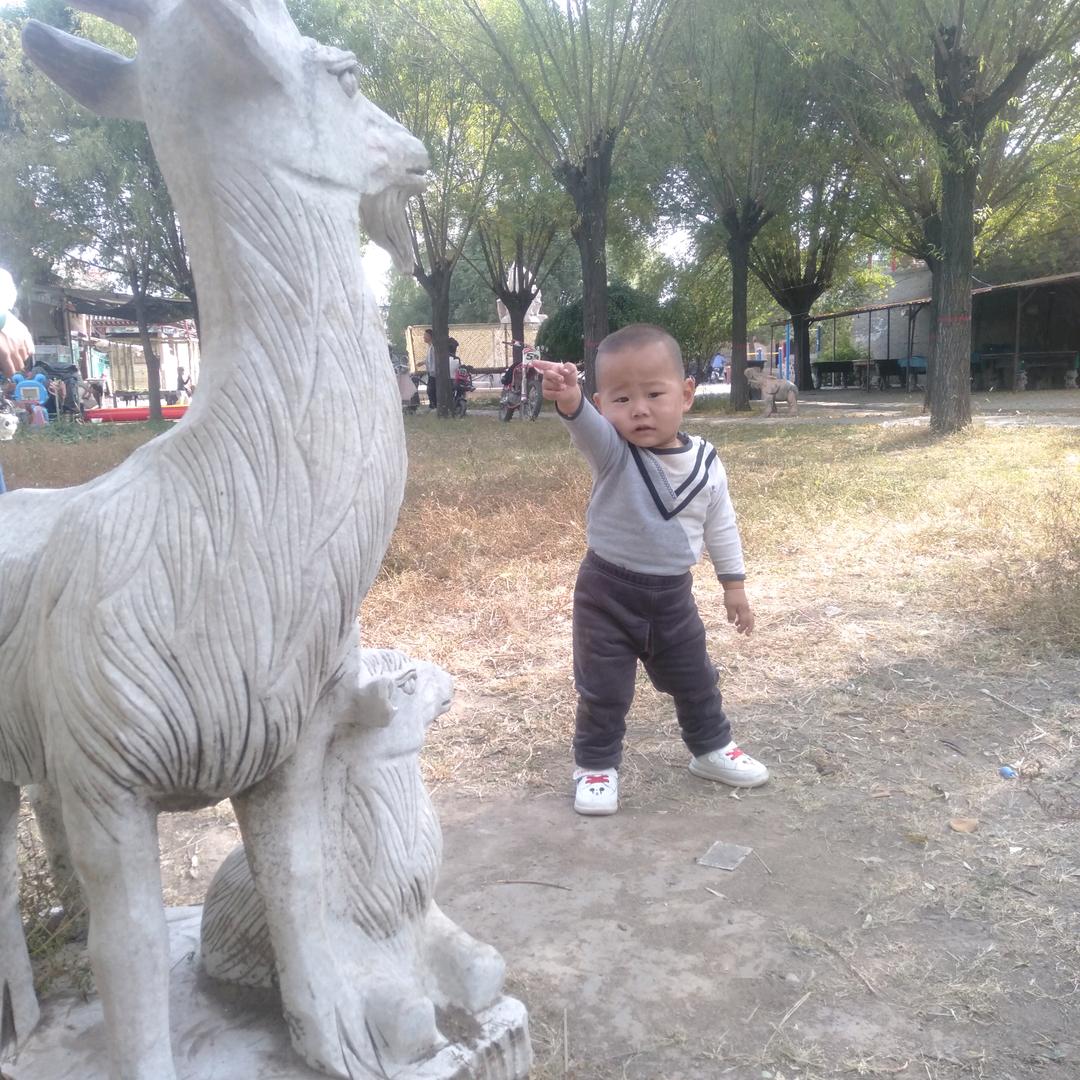 潇洒的走