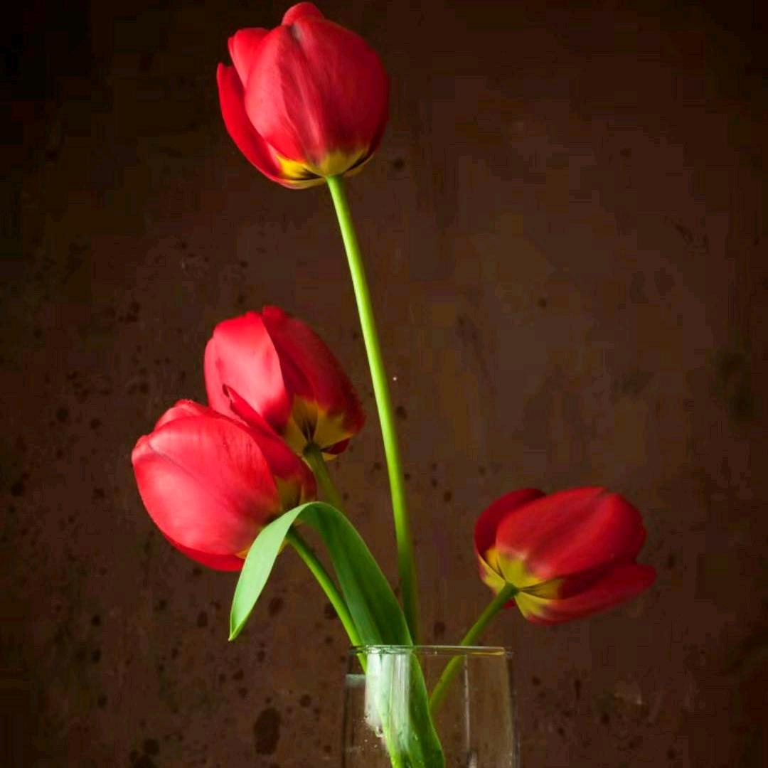 陆芳