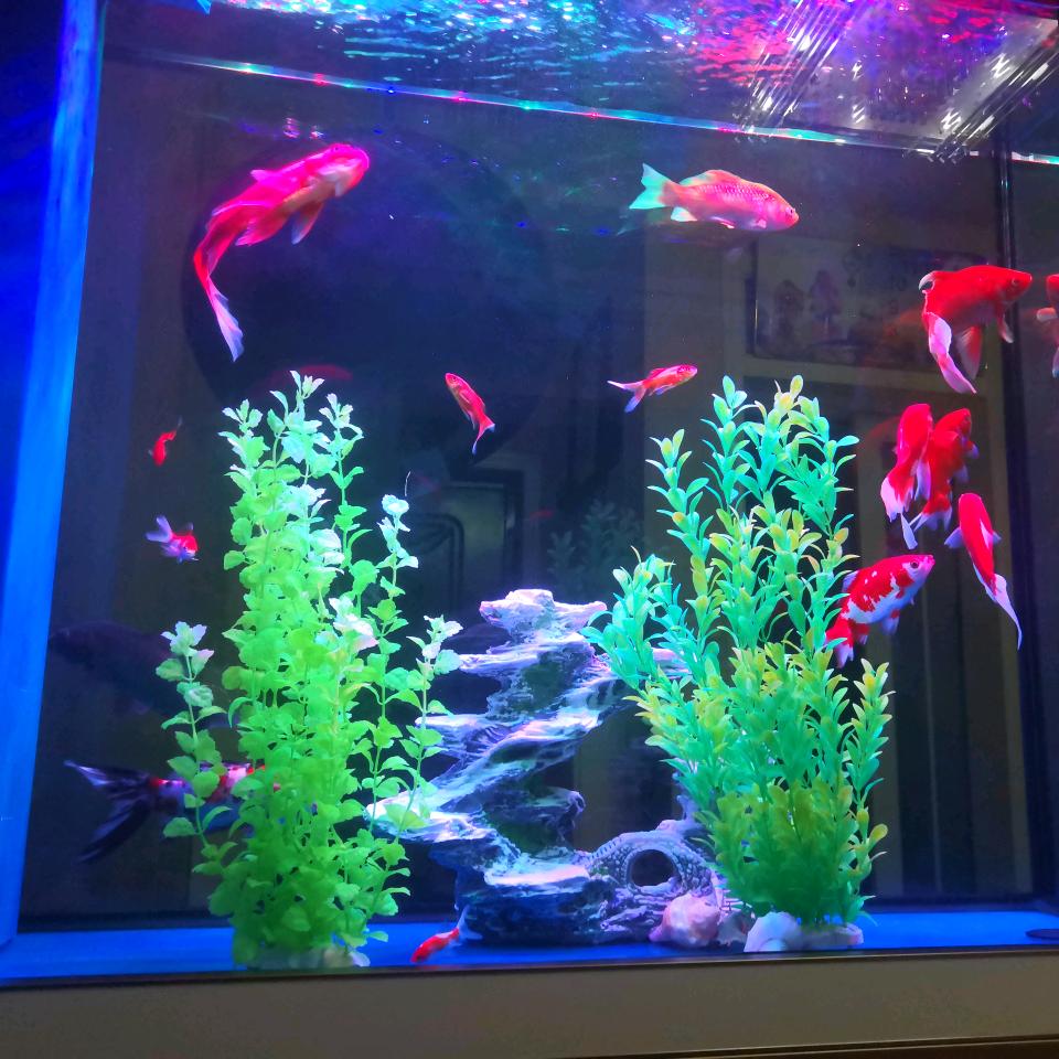 失望攒够终于可以离开了