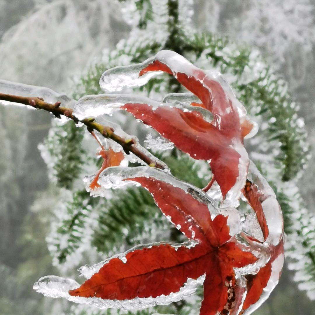 用户悠然見南山