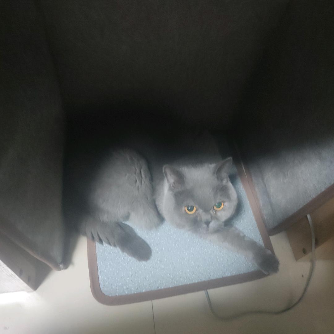 郭德刚
