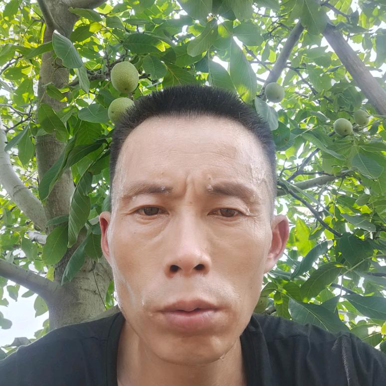 潇洒一回，哭笑一生