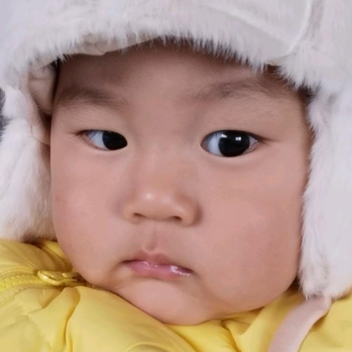 昭昭大人