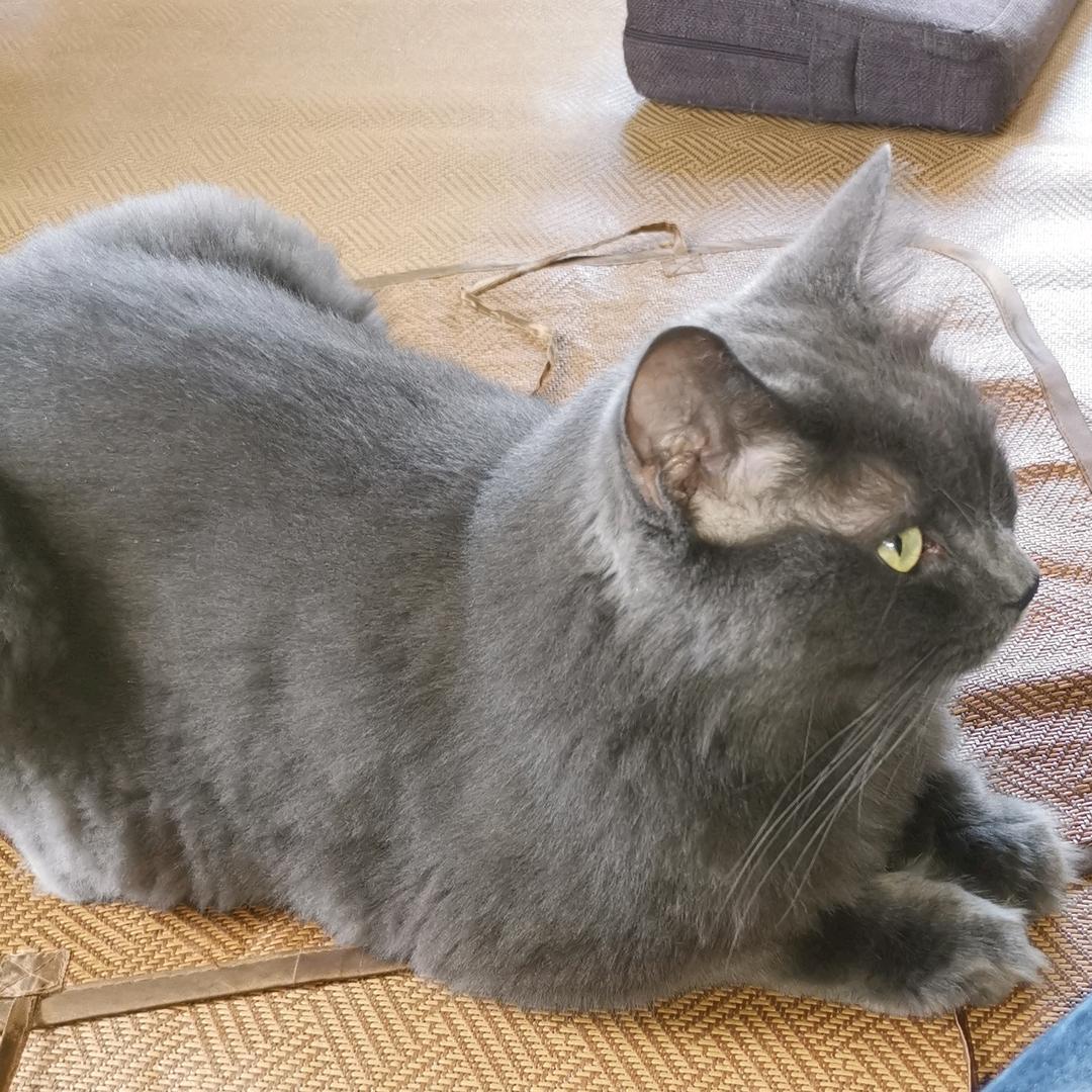 随风而去（互）