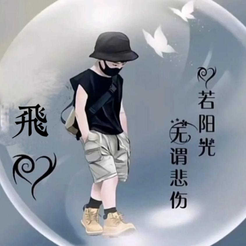 飞2413370