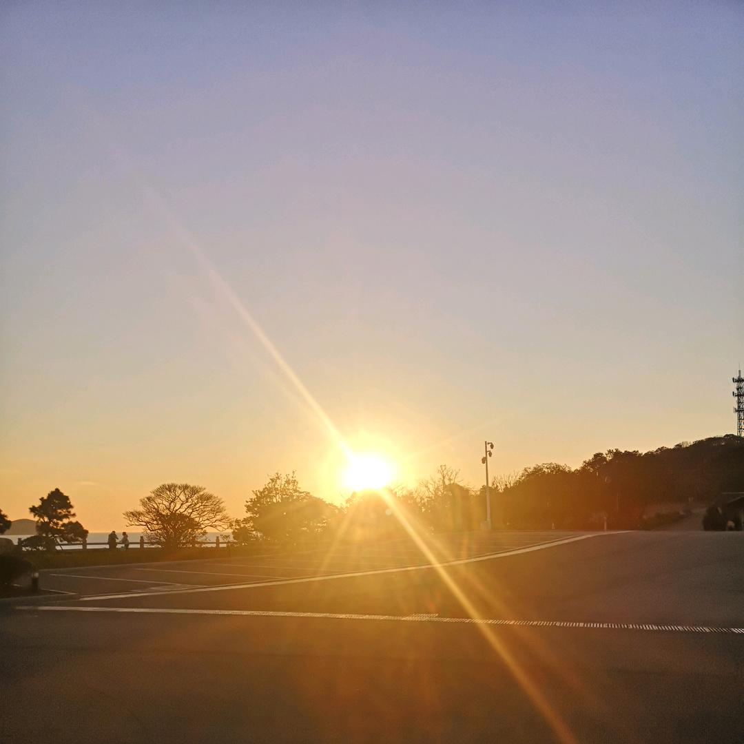 飞翔之燕